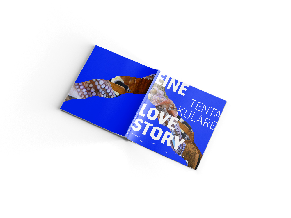 diagonal_backcover_mockup