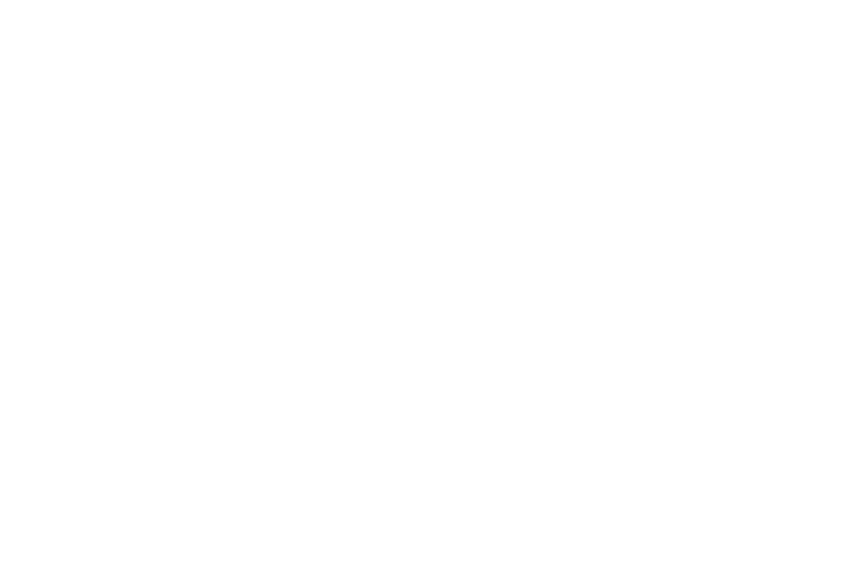 roller