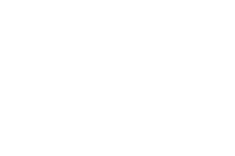 skates