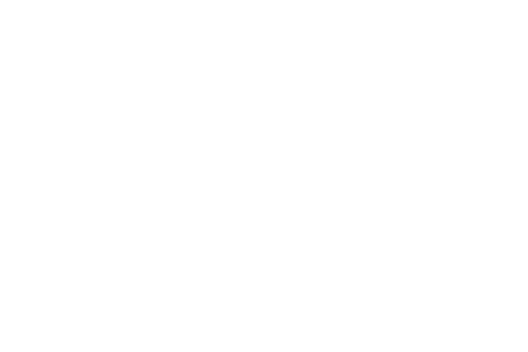 skates_2